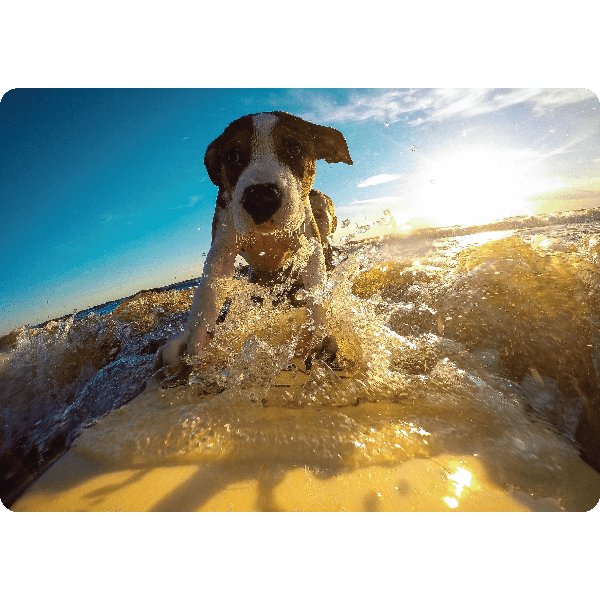 Dog Surfing Small Work Mat